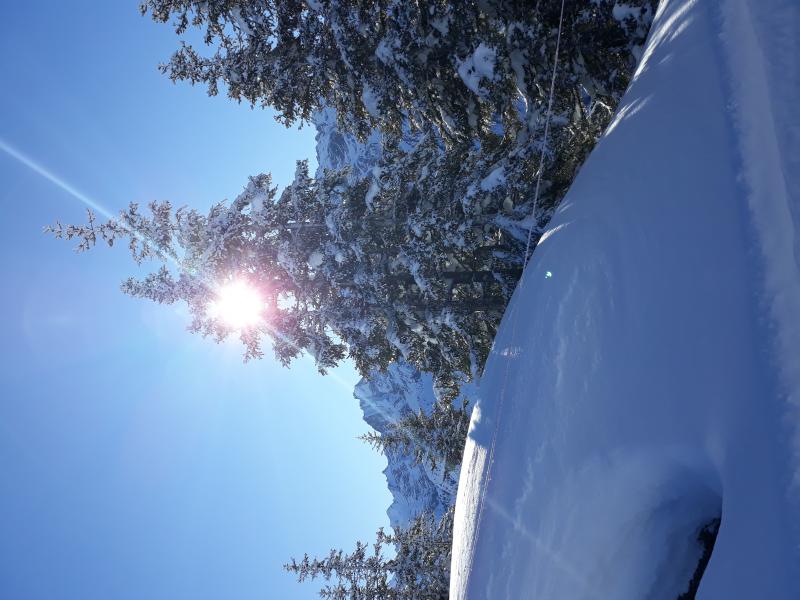 20191226_123450.jpg